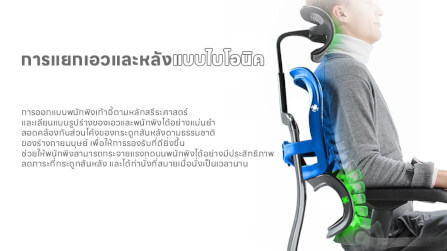 เก้าอี้เพื่อสุขภาพ DF PROCHAIR รุ่น Ergo Elite Ultra Plus สีเทา_7